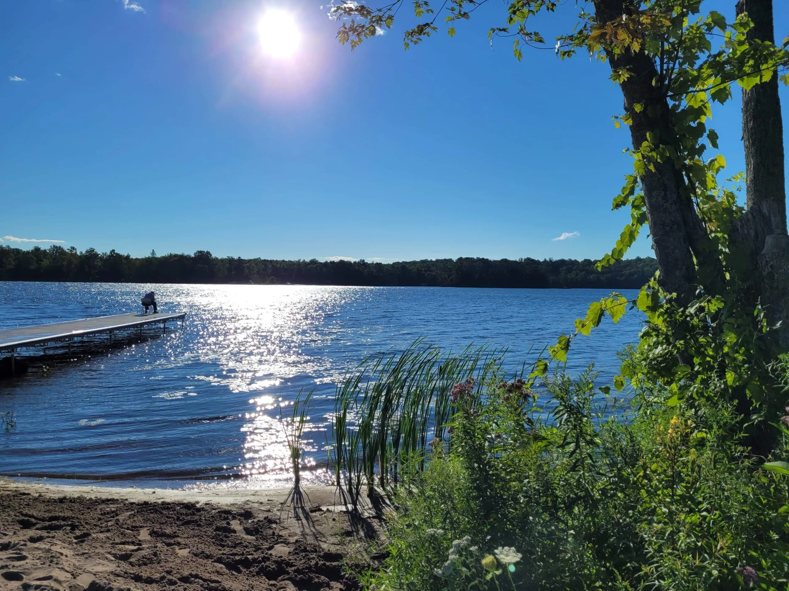 Sunlight on the lake, framed by shoreline trees, with a small figure at the dock.